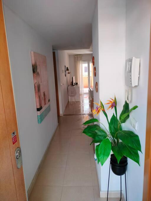 Apartmán Bajo Con Jardin A Pie De Playa Y Piscina Comunitaria Con Jacuzzi Playas de Vera Exteriér fotografie